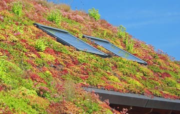 North Charford living roof systems